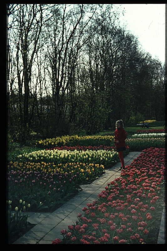 19.Keukenhof apr 1973 Brigitte.JPG